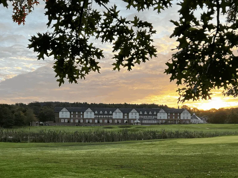 From Acorns to Oaks: A Commitment to a Greener Future